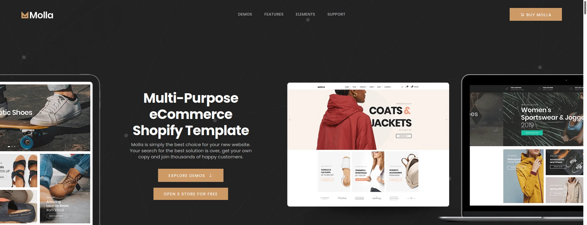 Molla – Multipurpose Theme