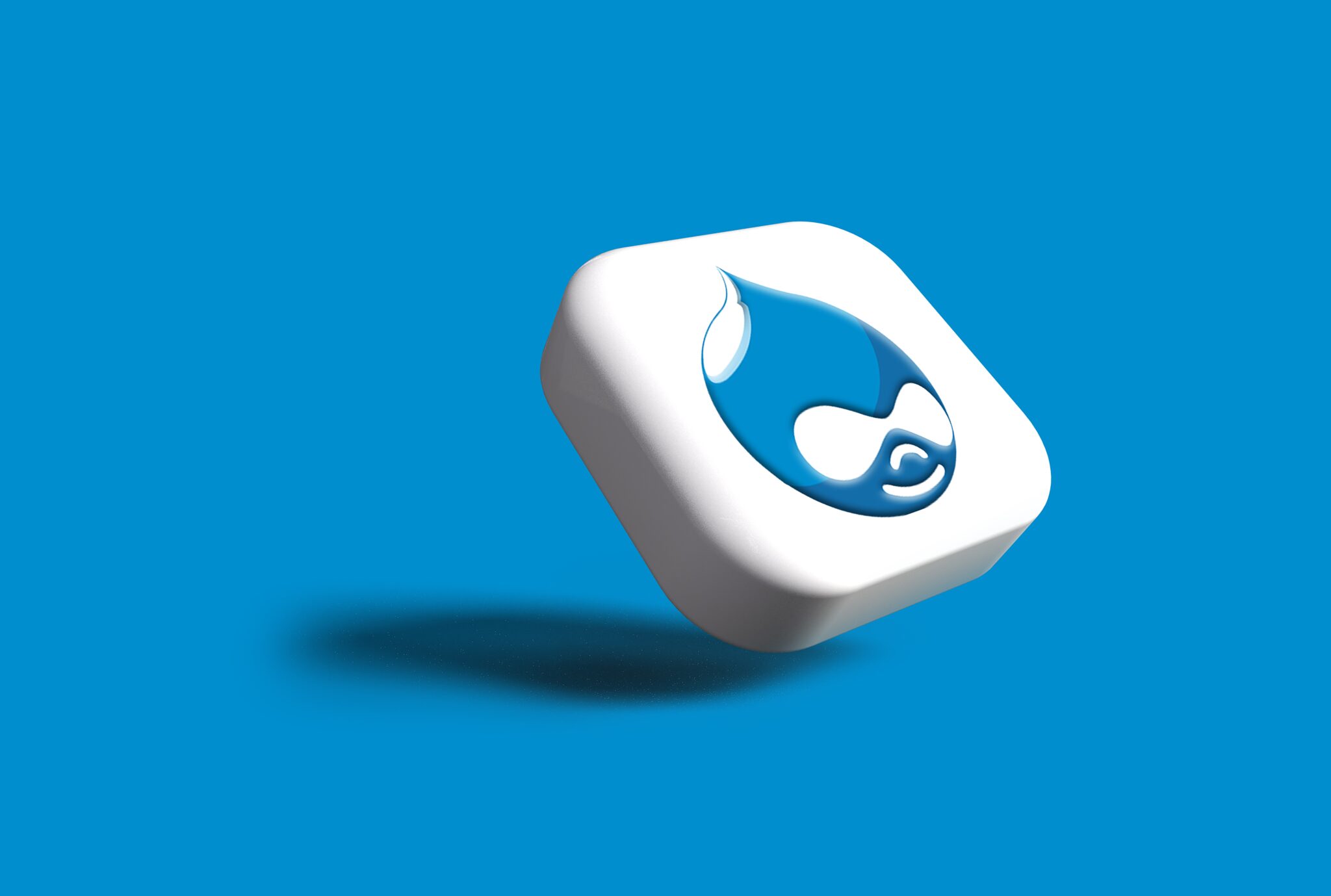 Drupal Development Services India